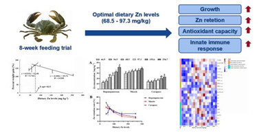 饲料锌水平对拟穴青蟹生长、锌沉积、抗氧化能力和先天免疫响应的研究