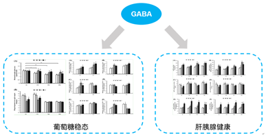 γ-氨基丁酸可有效维持中华绒螯蟹空腹应激下的糖稳态，保护肝胰腺健康