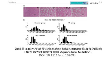 茶多酚剂量可改变摄食高脂饲料吉富罗非鱼肌肉品质