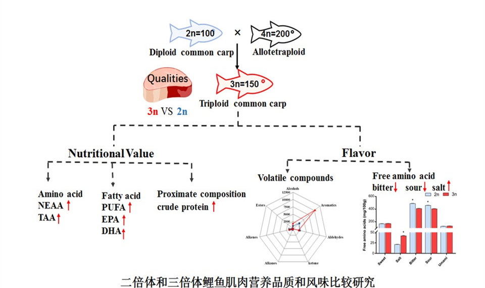 舒玉琴 成果.jpg