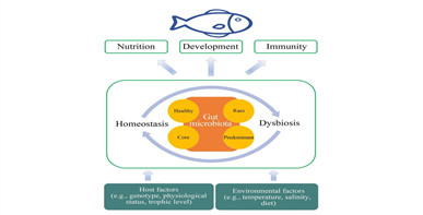 海水鱼类肠道微生物群的研究进展